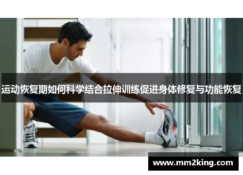 运动恢复期如何科学结合拉伸训练促进身体修复与功能恢复