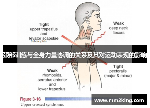 颈部训练与全身力量协调的关系及其对运动表现的影响